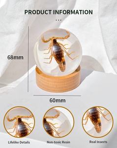 ลูกบอลคริสตัลใสมากงานฝีมือรูปแมลงจริงรูปโลกใบนี้ของขวัญวันฮาโลวีนปีใหม่ - Product Image 3