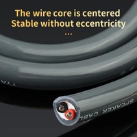 YYAUDIO/ Yangyang Câble audio en cuivre plaqué argent pur, câble de haut-parleur blindé haute densité, ligne de connexion de haut-parleur, câble en vrac