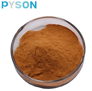 Bột Nấm Sư Tử hữu cơ chiết xuất Hericium Erinaceus 40% UV <span class=keywords><strong>Mycelium</strong></span> tăng cường miễn dịch - Product Image 2