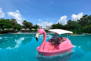 Pédalo adulte 2 places 4 places bateaux à pédales en PE bateau cygne - Product Image 4