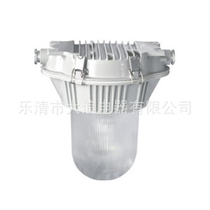 Projecteur LED Hz8050, 50000 heures, éclairage extérieur haute luminosité - Product Image 5