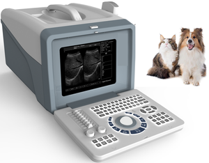 Veterinaire Echografie Apparatuur 10 Inch Volledig Digitale Draagbare B/W Ultrasone Scanner Machine - Product Image 6