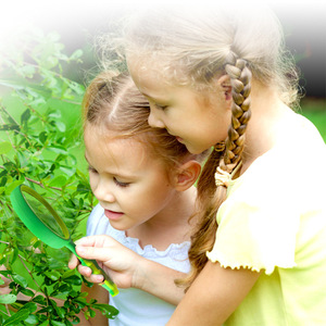 YL Childrens Frog Magnifying Glass Plastic Handheld Reading Lens 85 100 Random Color - Product Image 2