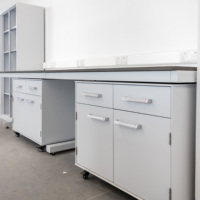 Mesa de Laboratorio Moderna con Estructura en C, Mueble Móvil de Acero Resistente, Superficie de Resina Epoxi Anticorrosiva para Uso Industrial y Escolar