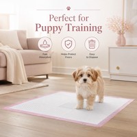 Tapis d'apprentissage pour chiots écologiques, doux, non tissés, matelassés, super absorbants avec noyau SAP, séchage rapide, imperméables, avec support PE, OEM