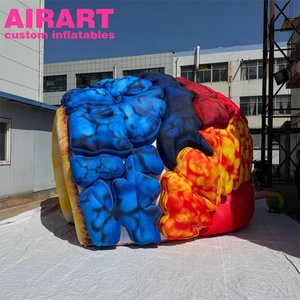Grande <span class=keywords><strong>structure</strong></span> cérébrale <span class=keywords><strong>gonflable</strong></span> pour exposition médicale - Product Image 1