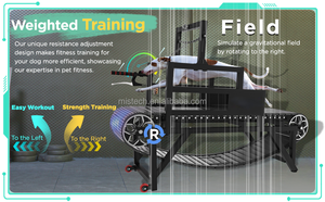 मौसम प्रतिरोधी स्टील कुत्ते फिटनेस ट्रेडमिल-बड़े कुत्तों के लिए फैशन डिजाइन - Product Image 2