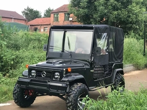 Jeeps automatiques à essence/électriques pour adultes à vendre, mini-jeeps 2 places, extérieur personnalisé, véhicules UTV/tout-terrain - Product Image 6