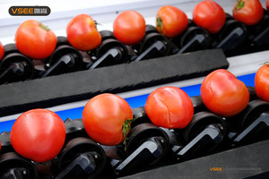 Máquina clasificadora <span class=keywords><strong>de</strong></span> peso Kiwi/máquina para clasificar kiwi/máquina clasificadora <span class=keywords><strong>de</strong></span> dátiles chinos - Product Image 4