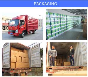 Taille personnalisée éponges faciales de visage en cellulose comprimée éponge propre - Product Image 5