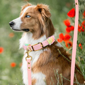 Haustier Hunde halsband und Leine Set Rosa hand gewebte Gummi leinen für kleine mittlere und große Hunde Bunte Bleis eil benutzer definierte Farben - Product Image 4