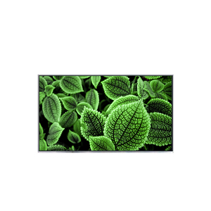 C156HAA01.2 แผงจอ LCD ขนาด 15.6 นิ้วของแท้รุ่นล่าสุด 1920*1080 FHD จอแสดงผล LCD - Product Image 1
