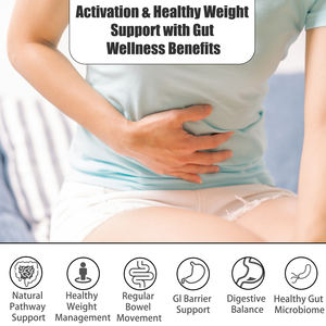 Cápsulas Probióticas de Alta Calidad al por Mayor, Sin Gluten, Apoyan el Camino Natural, Favorecen el Control de Peso Saludable - Product Image 3