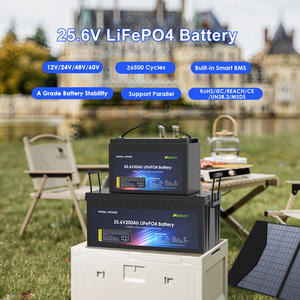 Paquete de Baterías de Iones de Litio Solares de 24 V, 100 Ah, 150 Ah, 200 Ah, 280 Ah, 300 Ah, 400 Ah, 600 Ah, con BMS para Sistema Solar LFP24200 24 V 20, Venta al por Mayor - Product Image 3