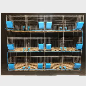 Big industrial rabbit cages commercial breeding 3 layers new type of rabbit cage with automatic feces-free cleaning