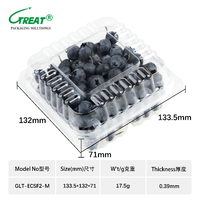 China Fabriek Hoge Kwaliteit Wegwerp Food Grade Pet Plastic 125G 6Oz Bosbessen Clamshell Geventileerde Bessenverpakking