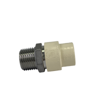 Adaptateur en acier inoxydable IP mâle 1/2" CPVC x 1/2"