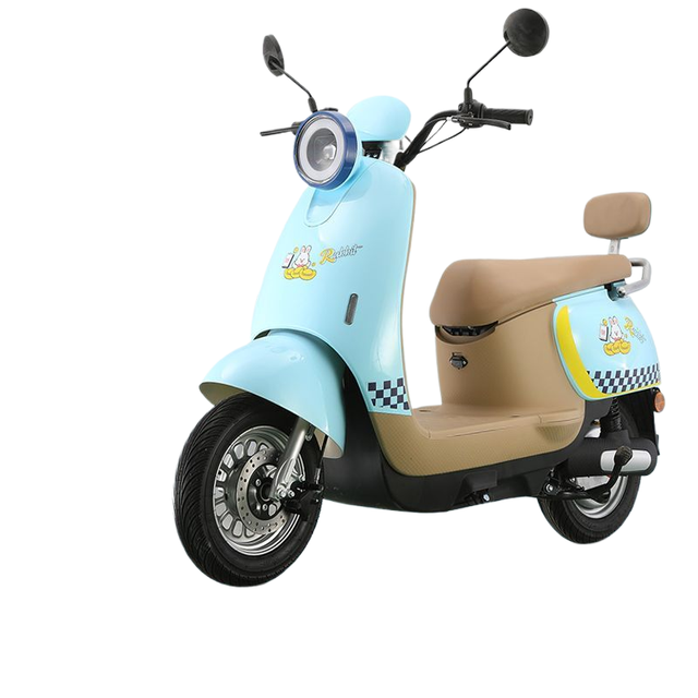 Specifications and Color Custom Electric Two-wheel Scooter with Brushless Motor 1200W Waterproof Aluminum Frame