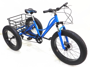 Trikes électriques bon marché, tricycles cargo 3 roues, moto, vélo cargo à trois roues pour adultes, tricycles électriques motorisés pour adultes - Product Image 2