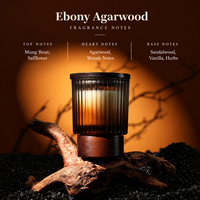 Bougie parfumée pour usage intérieur, longue durée, coffret cadeau haut de gamme, nouvelle mèche en bois parfumée à base de plantes.