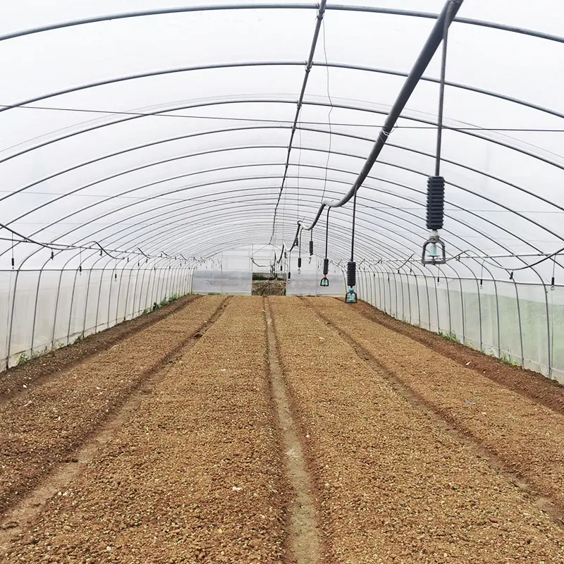 Fruits Planting Strawberry Greenhouse Turnkey Project Poly Film Arch Tunnel Arch Plastic Film Strawberry Greenhouse