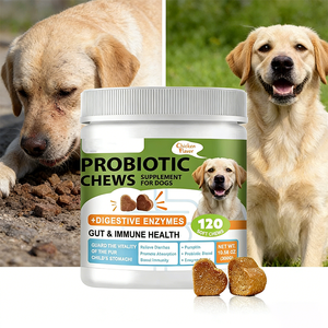 Friandises à mâcher molles probiotiques pour la santé digestive des animaux de compagnie avec du citrouille, régulent la <span class=keywords><strong>flore</strong></span> <span class=keywords><strong>intestinale</strong></span> et renforcent l'immunité, soulagent les problèmes intestinaux chez les chiens - Product Image 4