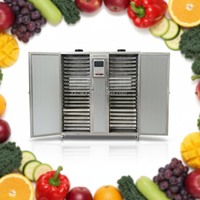 Déshydrateur Électrique Commercial pour Fruits et Légumes, Four de Séchage pour Noix, Économie d'Énergie, Contrôle Intelligent de la Température