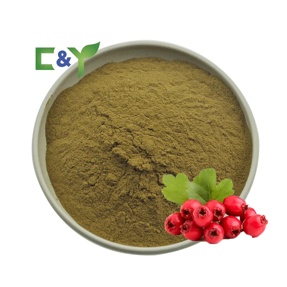 Natural crataegus oxyacantha powder hawthorn fruit hawthorn powder extract