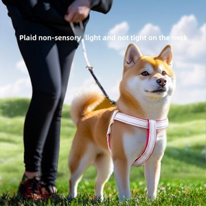 Harnais pour chien en cuir à rayures réfléchissantes personnalisées en forme de Y - Product Image 2