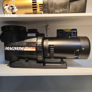 ปั๊มกรองน้ำสระว่ายน้ำคุณภาพสูง Water Crown กำลังไฟ 0.5-1.2 แรงม้า ปรับความเร็วได้ 220V/50Hz วัสดุพลาสติกพิเศษ สำหรับสระว่ายน้ำทั้งหลัง - Product Image 3