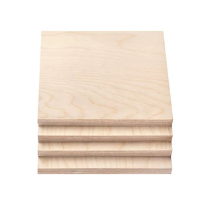 Contrachapado de Abedul Chino Birch Trio - 1220 * 2440 mm 18 mm 15 mm 12 mm 9 mm 5 mm - Product Image 1