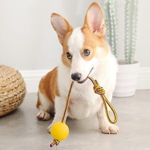 Balle à mâcher moderne de luxe pour animaux de compagnie en mousse EVA avec corde colorée – Nettoyage des dents – Vente directe usine – Plusieurs couleurs disponibles - Product Image 1