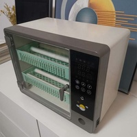 Incubateur à œufs mini certifié CE, machine à couver 24 œufs de poulet, canard, caille, oie