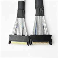 Maßgefertigtes Versilbertes Kupfer 30AWG Server-SAS-Kabel SFF-8482 29-polig Mit Separatem Stromabzweig Backplane-Kabelbaum
