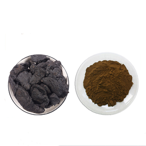 Miễn phí Mẫu Shu di Huang 10:<span class=keywords><strong>1</strong></span> rehmannia gốc nấu chín chiết xuất bột - Product Image 1