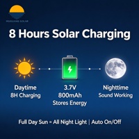 Applique murale solaire 1W avec capteur sonore et de luminosité, portée de détection 3-5m, 16 LED, étanche IP65, en aluminium, pour porte et jardin