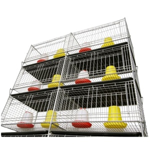 Cage d'élevage avicole moderne automatisée en H, haute capacité pour cailles et poulets de chair - Product Image 1