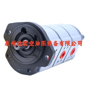 Moteur à engrenages 2SM G 140 D EUR H N 10 G, moteur de pompe hydraulique - Product Image 4