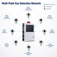 Detector de Gas Fijo a Prueba de Explosiones Bayou-Lok con Alarma de Concentración y Precisión del 1% para Gases Combustibles CH4, C3H8, H2, CO, H2S, NH3, O3