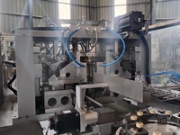 Machines automatiques pour la production de liquides intraveineux de glucose, 2000 BPH, ligne de production de solutions intraveineuses de 500 ml