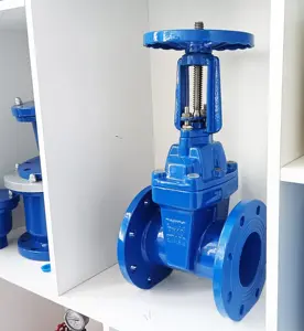 Cast Iron Concealed Stem Gate Valve Water Soft Seal Flange Gate Valve Soft Sealing Ductile Cast Iron Sluice Valve Gate