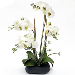 Bonsai di Orchidea Phalaenopsis Artificiale Real Touch con Vaso, Fiore di Orchidea Real Touch in Vaso per Decorazione - Product Image 2
