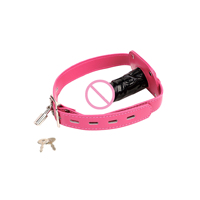 BDSM Bondage Dildo Gag SM Oral Sex Toys Simulated Silicone Penis Gag with Locking Belt Slave Restraints Bondage Gear