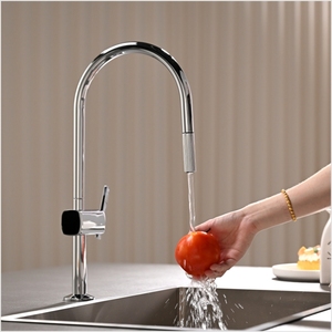 Robinet de cuisine monocommande moderne en acier inoxydable chromé, à montage sur plan, avec douchette extractible, pour eau froide et chaude, pour évier de légumes - Product Image 2
