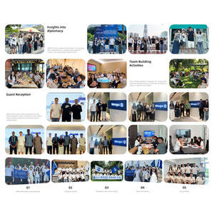 Interruptor de Presión de Aceite WESPC ORIGINAL de Alto Rendimiento 2848062 para Motor Diésel Perkins Serie 1000 1100 - Product Image 5