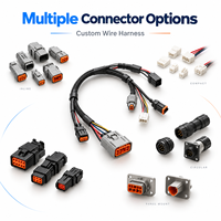 Faisceau de câbles électriques pour véhicules 16-24AWG, assemblage de câbles étanches 2-8 broches, personnalisé OEM pour applications automobiles