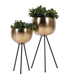 Soporte de Metal de Lujo para Plantas con Juego de 2 Macetas Doradas, Macetas de Interior para Decoración de Sala de Estar, Decoración del Hogar, Maceteros Modernos de Hierro - Product Image 1
