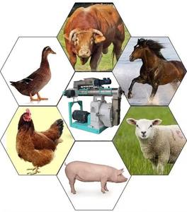 Presse à granulés d'aliments cuits pour animaux, pour lapins, à vendre - Product Image 1