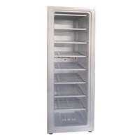 Fabricant de glace solaire commercial 298L DC 24V, congélateur vertical, fabrication de blocs de glace DIY, machine à fabriquer de la glace 90 kg par 24 heures, panneau solaire