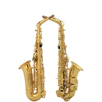 Brass Alto Saxophone E-Tone Beginner Performance Test Wind Instrument